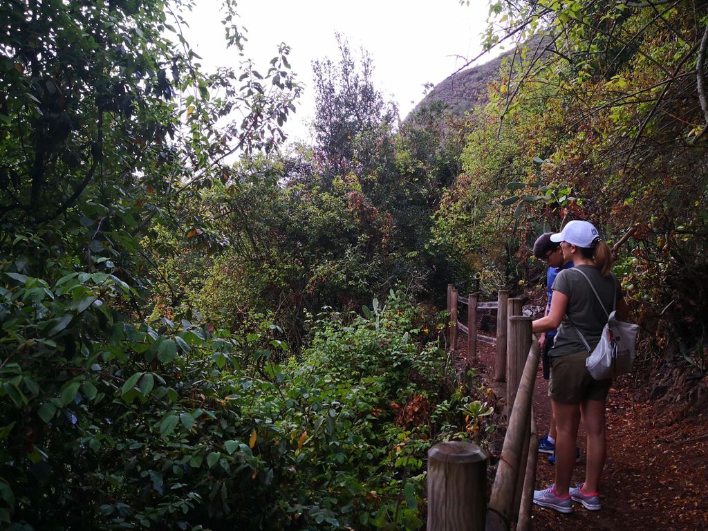 Ab Las Palmas: Wanderung durch den Regenwald & Cenobio Valeron