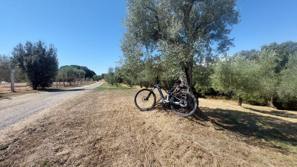 Die Da Vinci E-Bike-Tour inklusive Eintritt für Museum/Villa Medici