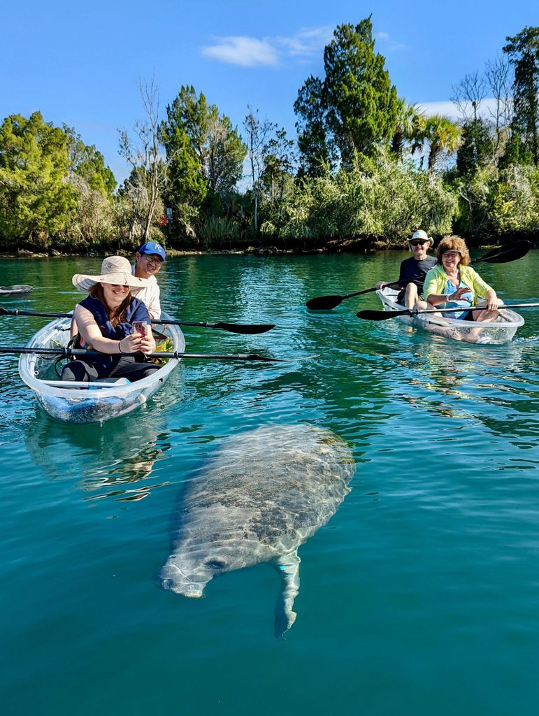 Crystal River: Seekühe & Quellen im durchsichtigen Kajak