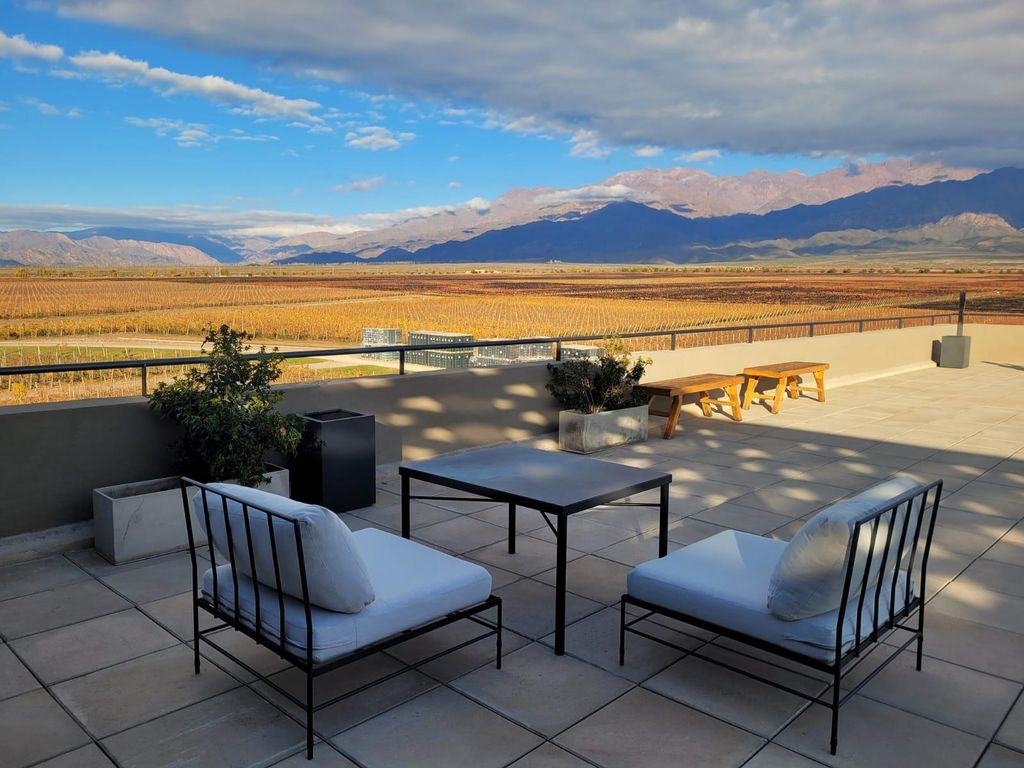 Mendoza an einem Tag, Führung, Olivenhain, Weingut, Berg, San Martin Park