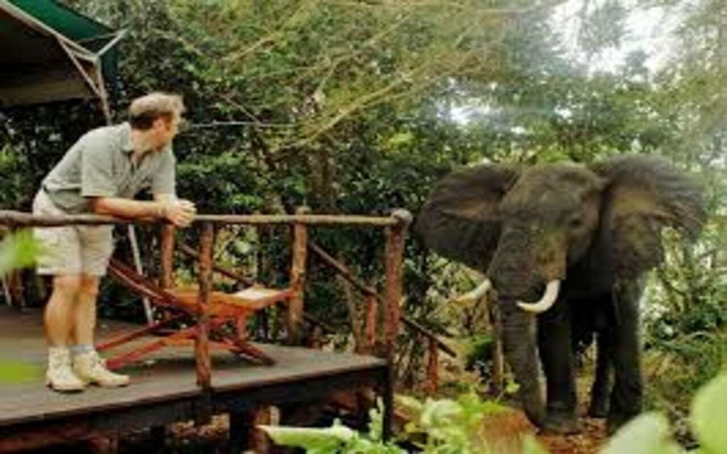 Von Dar Es Salaam: Mikumi National Park 2 Nächte und 3 Tage