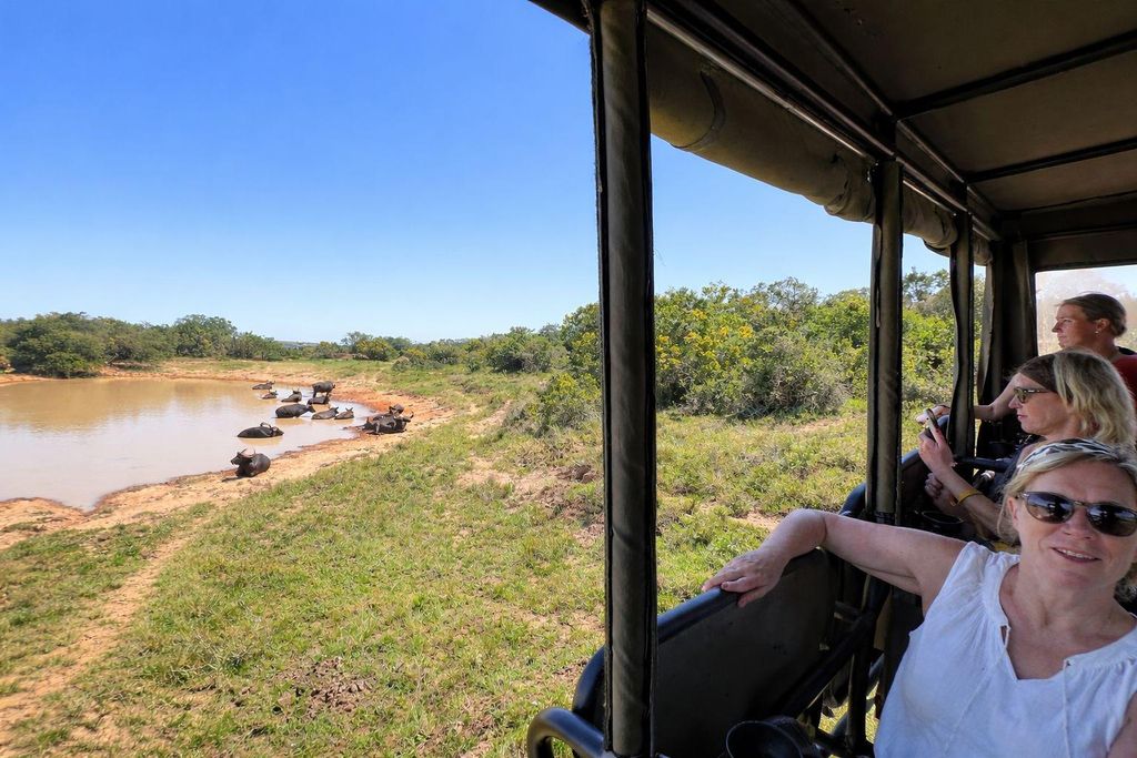 Port Elizabeth: 3-tägige Safari im Addo-Elefanten-Nationalpark