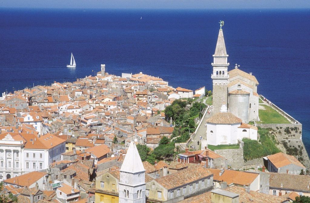 Von Ljubljana aus: Ganztagestour Gestüt Lipica und Piran