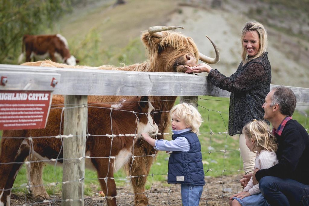 Queenstown: Queenstown Lake Cruise und Walter Peak Farm Tour