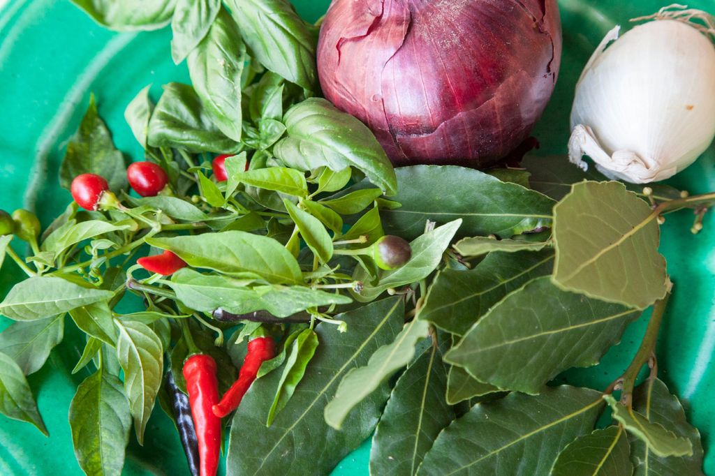 Lecce: Markt und privater Kochkurs im Haus eines Einheimischen