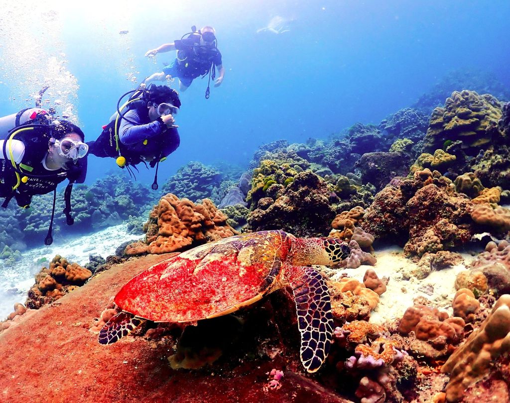 Phuket: Tauchen auf den Inseln Maithon oder Racha für alle Niveaus