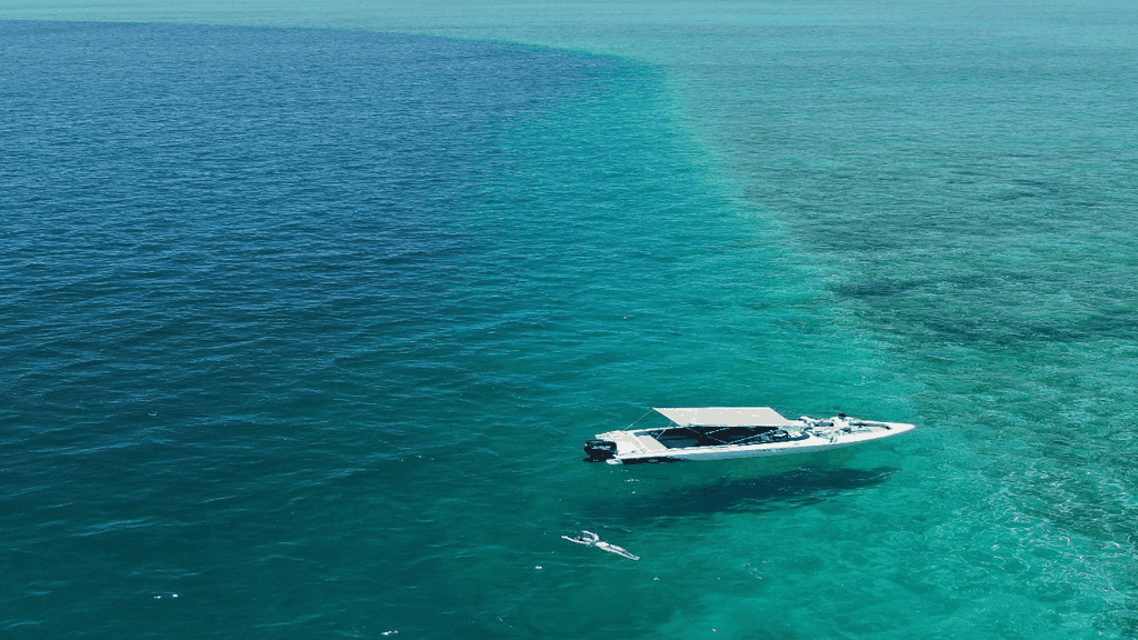 5 Inseln All-Inclusive Schnellboot mit Schnorcheln Seeschildkröte