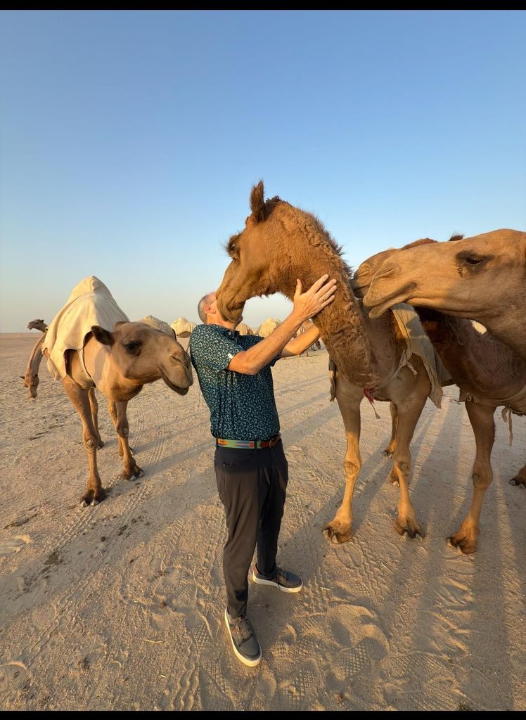 Kuwait: Tag- und Nacht-Skyline-Tour mit lokalem Essen und Tee