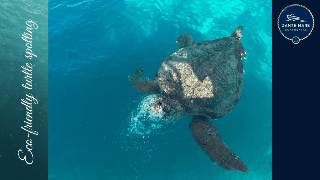 Zakynthos: Schildkröten, Marathonisi & Keri-Grotten Schnellboot-Tour