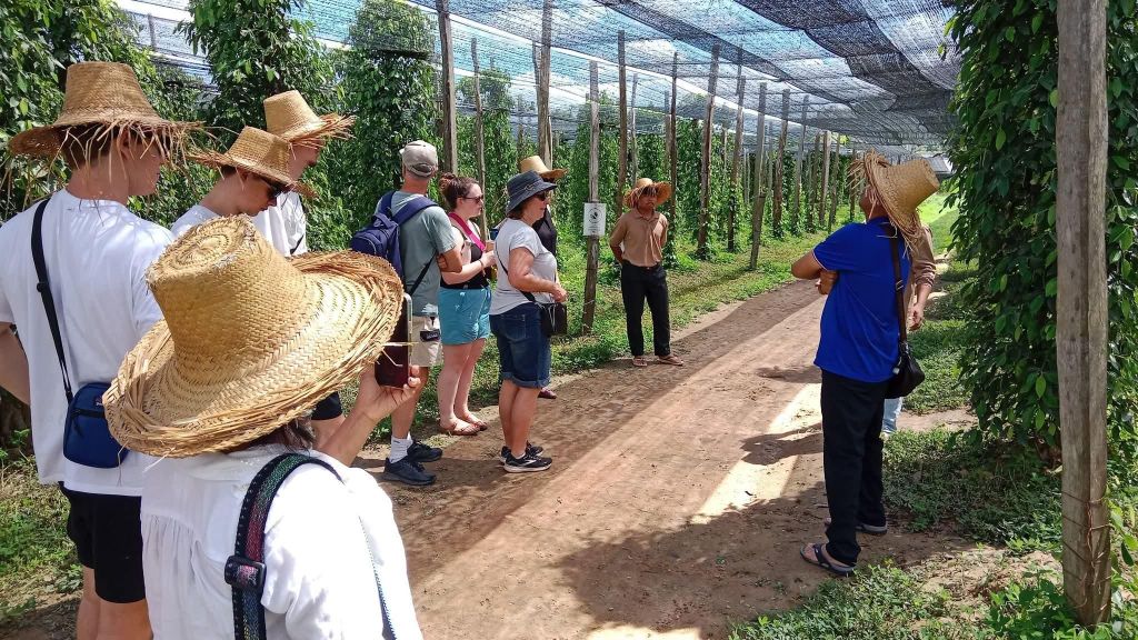 Entdecke die versteckten Schätze und lokalen Aromen von Kampot