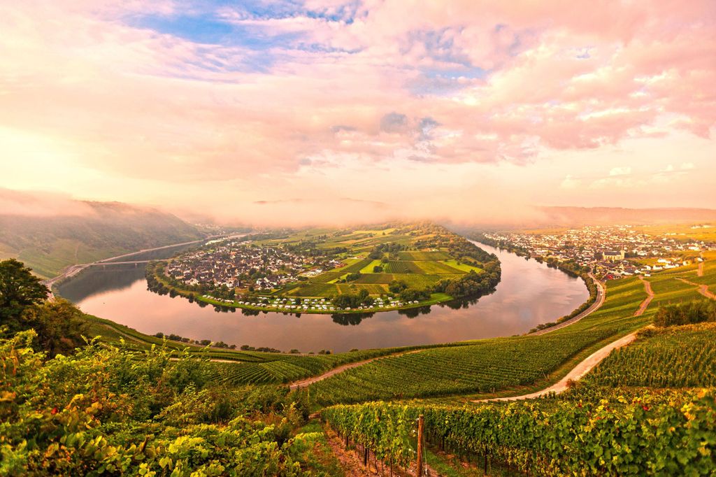 Kröv Gut Hermes: Mosel Panorama Planwagenfahrt mit Sekt & Weinprobe