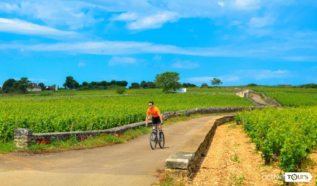 Beaune: Weinkeller Tour mit dem Fahrrad mit Weinverkostung
