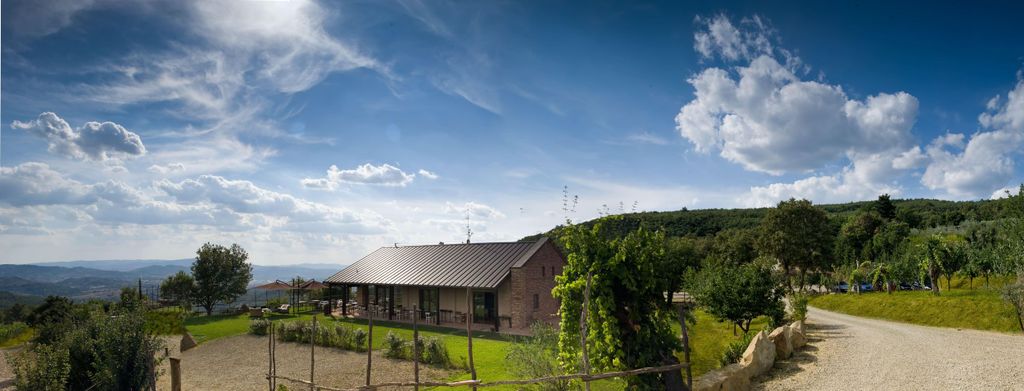 Arezzo: Tour durch die Weinkeller mit Weinverkostung