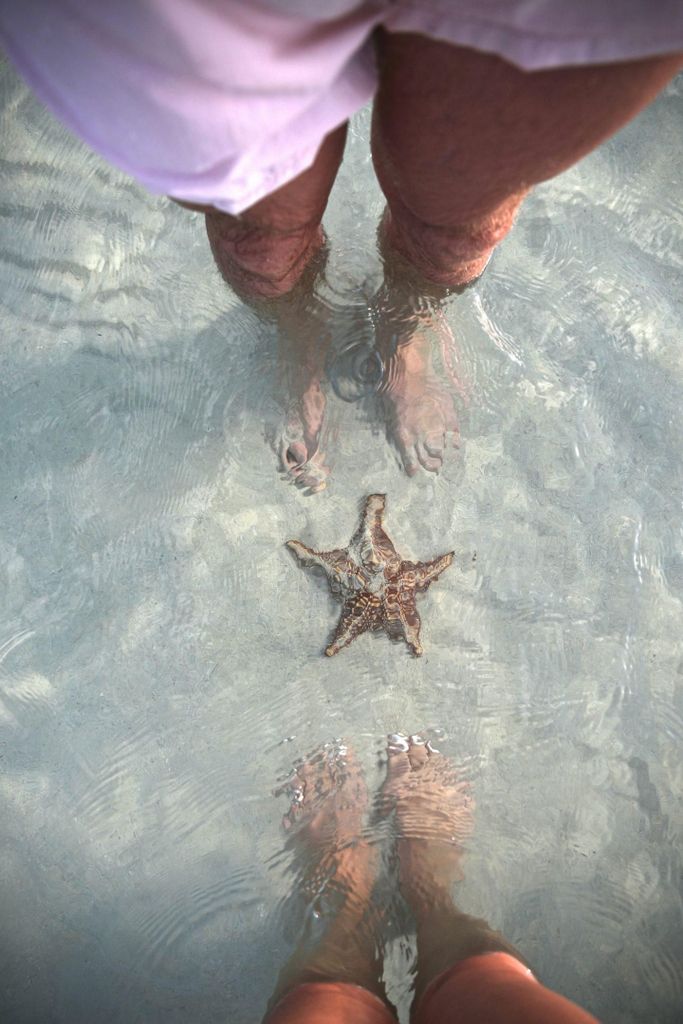 Cayman: Starfish Point, Stingray City und Coral Gardens