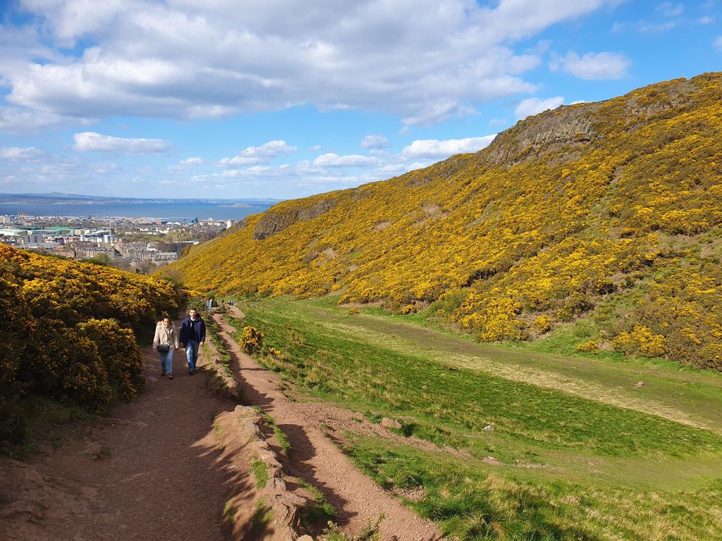 Edinburgh: Geführte Wanderung zum Arthur's Seat und zum Holyrood Park