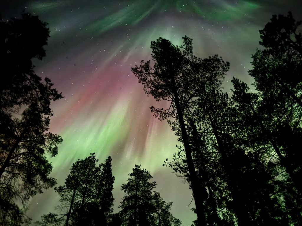 Abendliche Hundeschlittenfahrt mit Polarlichtern