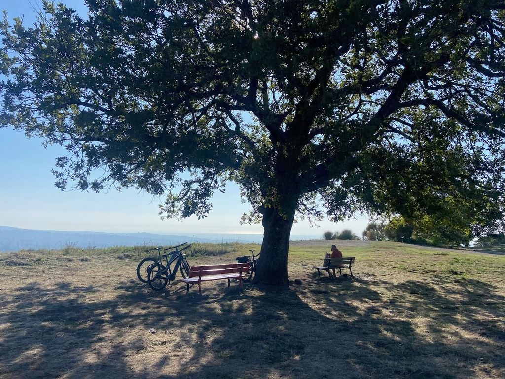 Tuscolo Erfahrung mit dem E-Bike