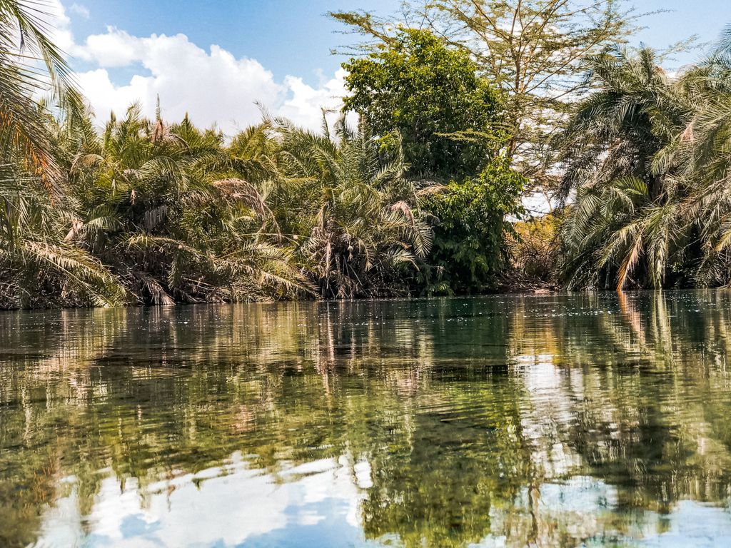 Moshi: Chemka Hot Springs Tagesausflug mit Essen und Wasser