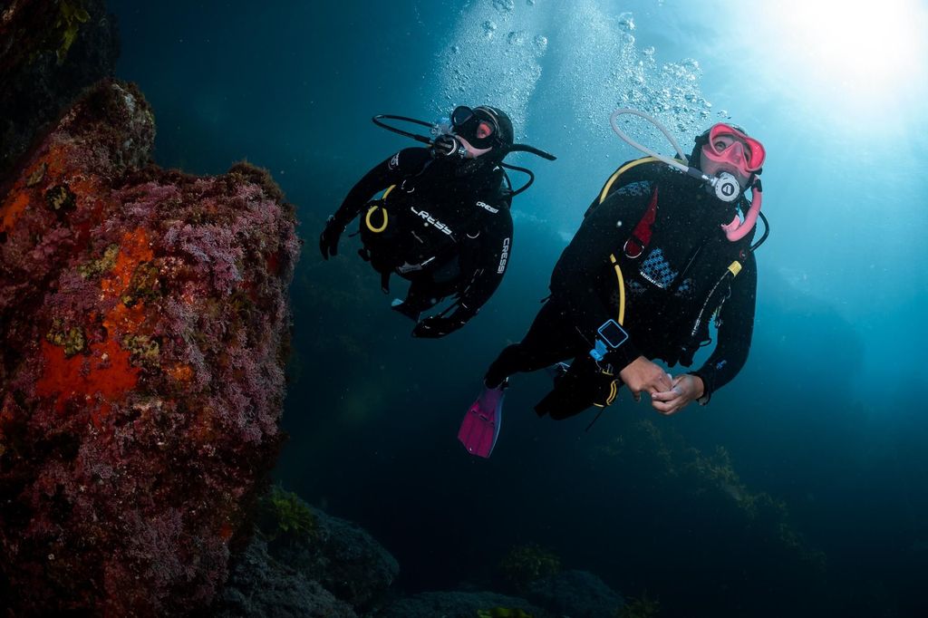 Entdecke die Unterwasserwelt: Geführte Tauchgänge für alle Niveaus