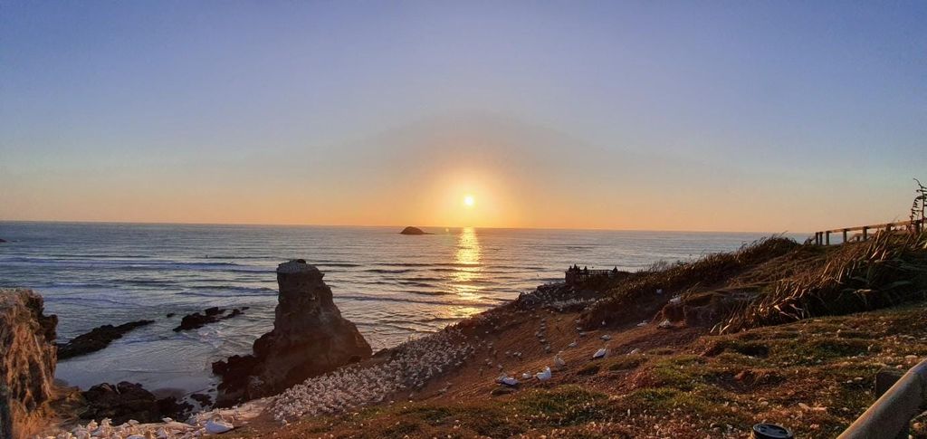 Auckland: Sunset Tour mit Thermalbad und Weinverkostung