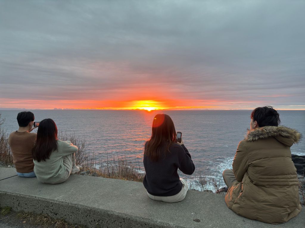 Svolvær: Ganztägige Führung zu den Lofoten