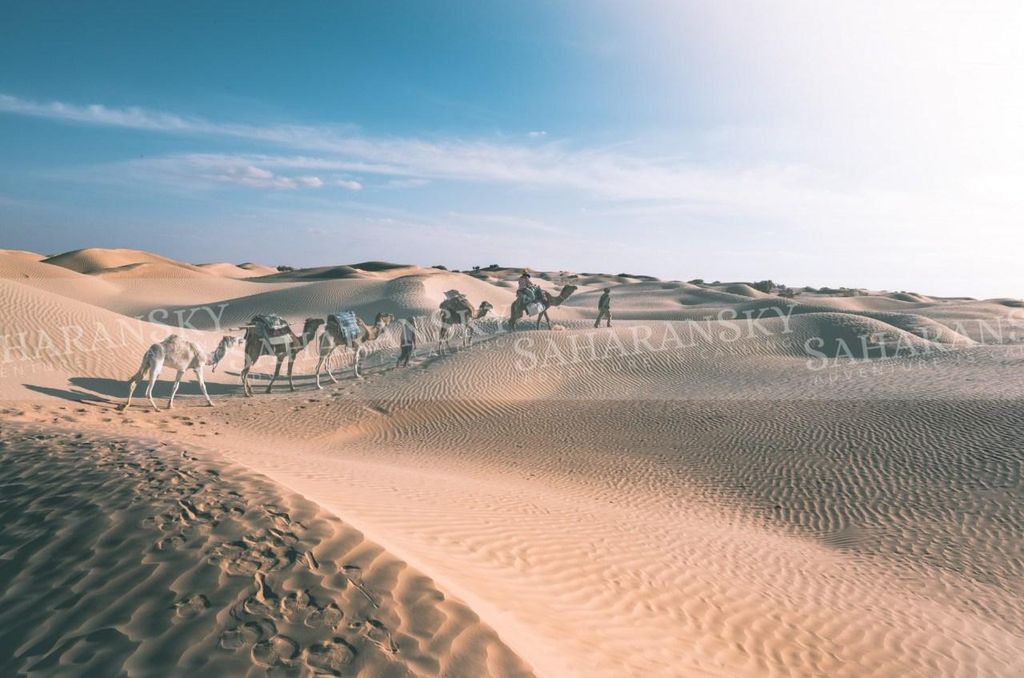 Ab Douz: 7-tägiger Sahara-Wüstenrosen-Kameltrek