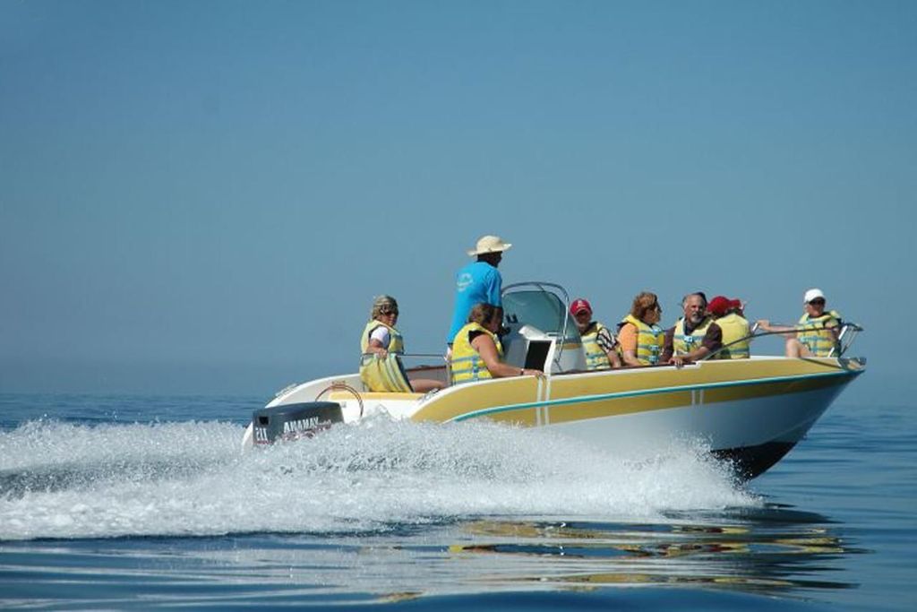 Djerba: Eine atemberaubende Bootsfahrt zu den Delfinen