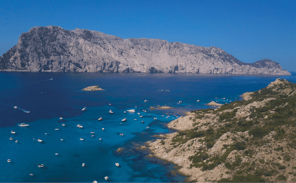 Von Olbia: Tour nach Tavolara, Molara und Aperitif