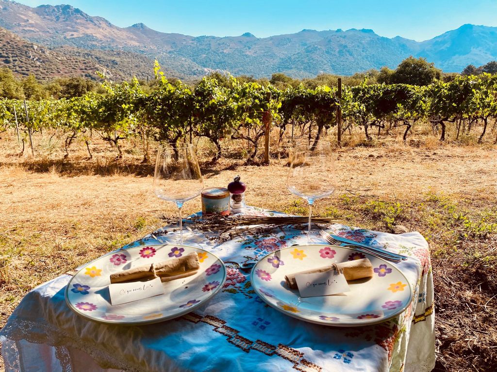 Weinprobe in der Umgebung von Calvi & Île-Rousse