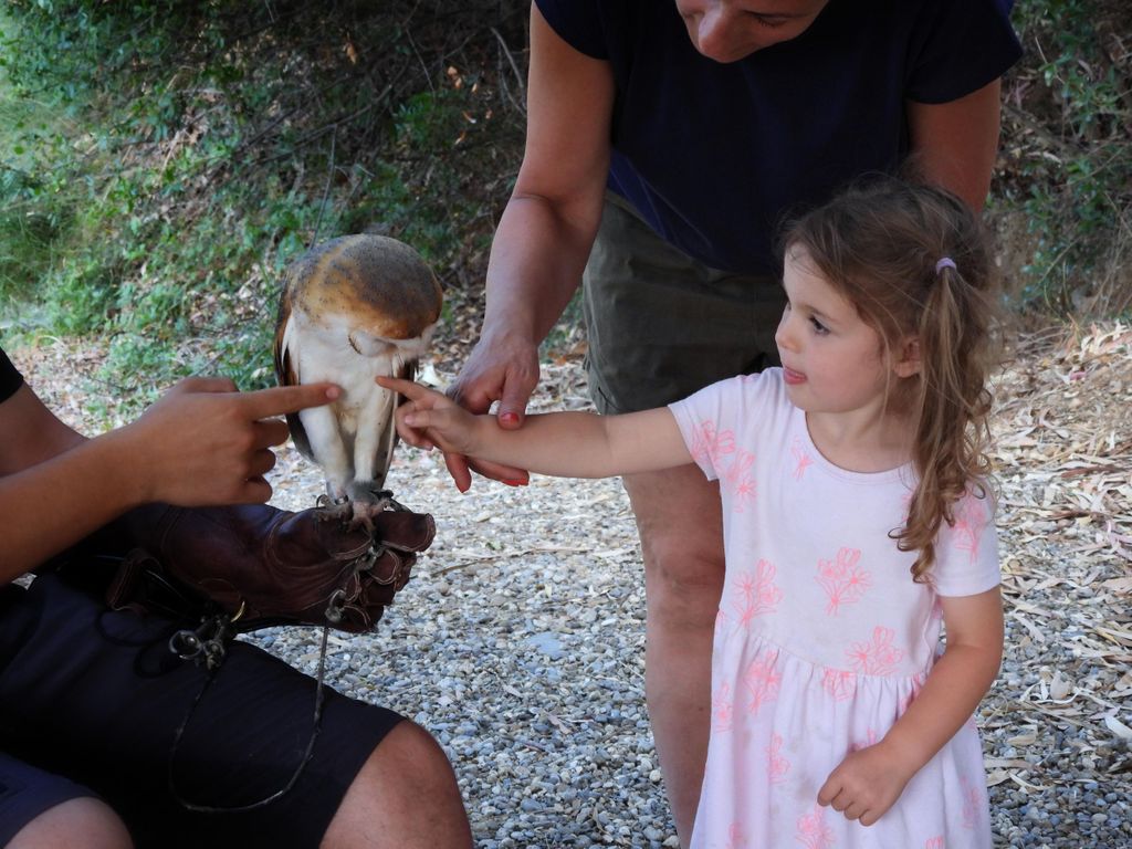 Entdeckt die fantastische Welt der Greifvögel im Nationalpark Pollino.