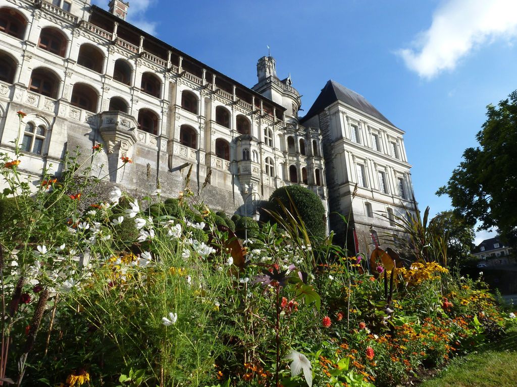 Blois: Private Tour durch das Schloss Blois mit Eintrittskarten
