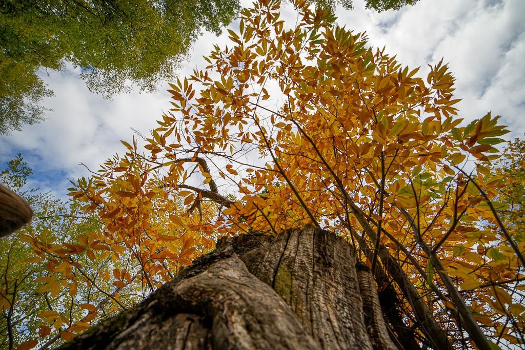 Fotospaziergang im La Valée de La Roya