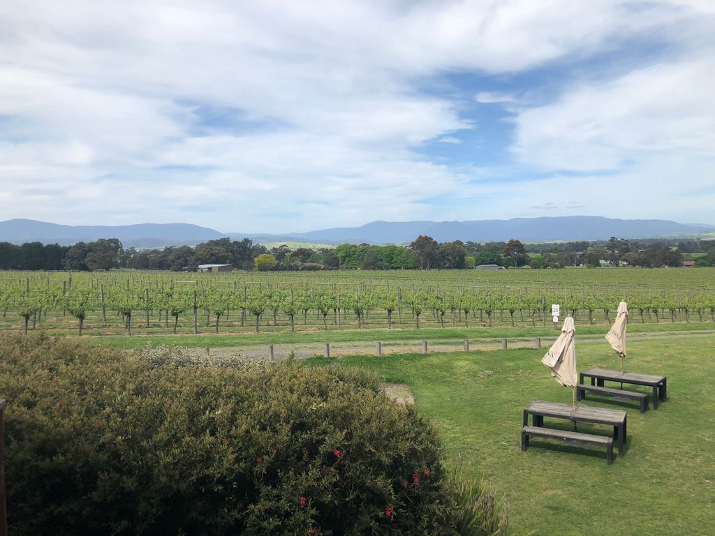 Mornington Peninsula Winery Bus Tour mit Mittagessen und Wein