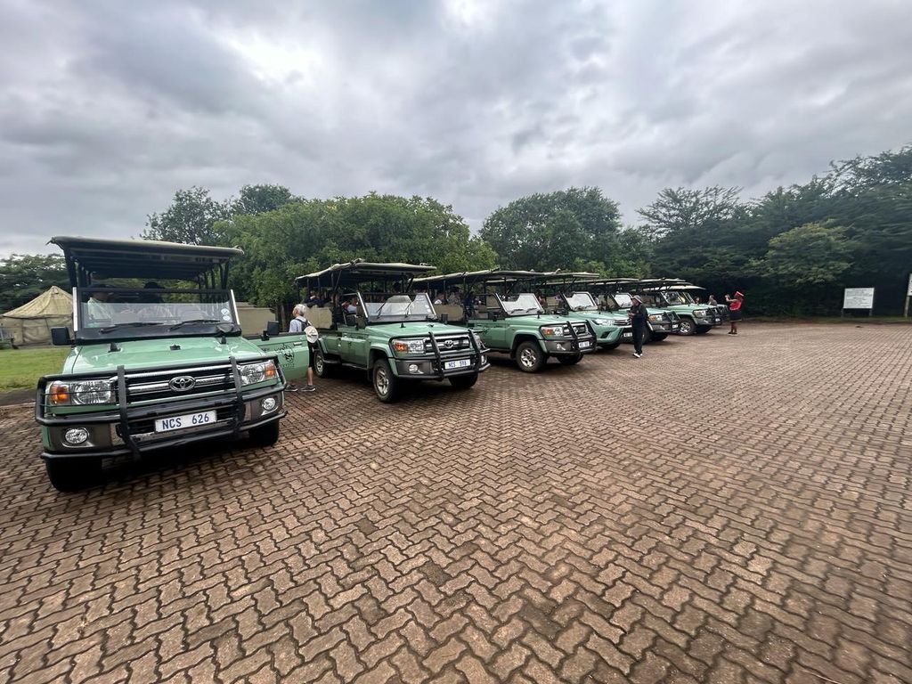 Hluhluwe Imfolozi Safari inklusive Pirschfahrt im offenen Fahrzeug