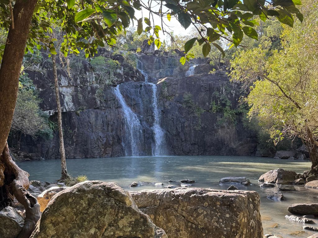 Airlie Beach: Cedar Creek Express-Ökotour