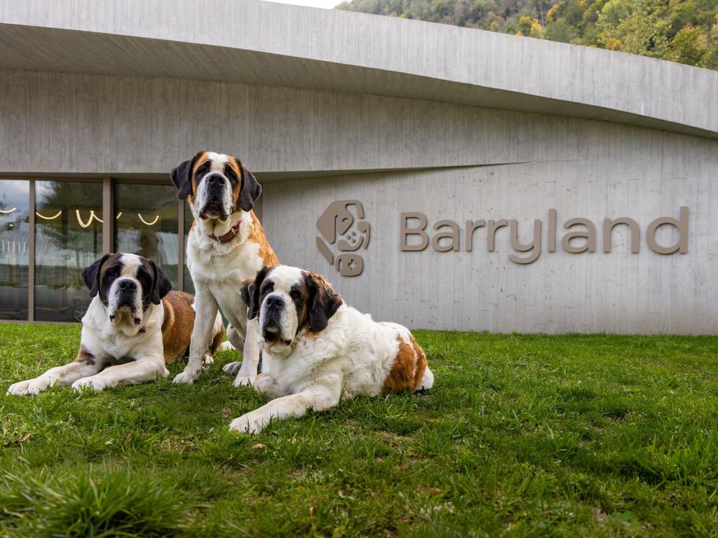 Martigny: Ticket Eintritt Barryland