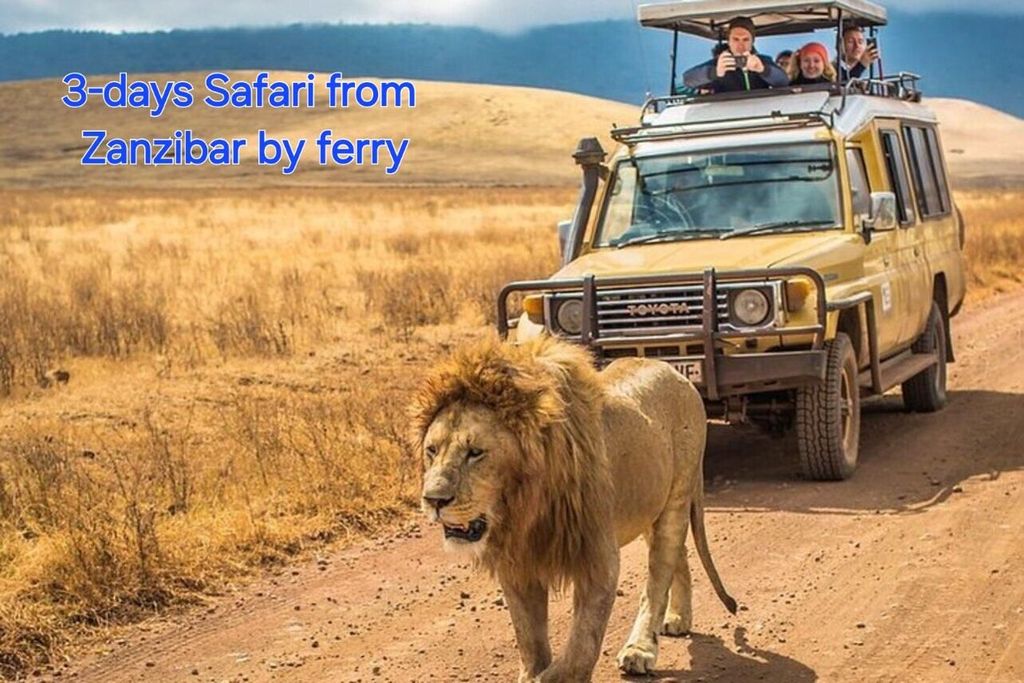 3 TAGE, 2 NÄCHTE SAFARI VON SANSIBAR NACH MIKUMI MIT DER FÄHRE.