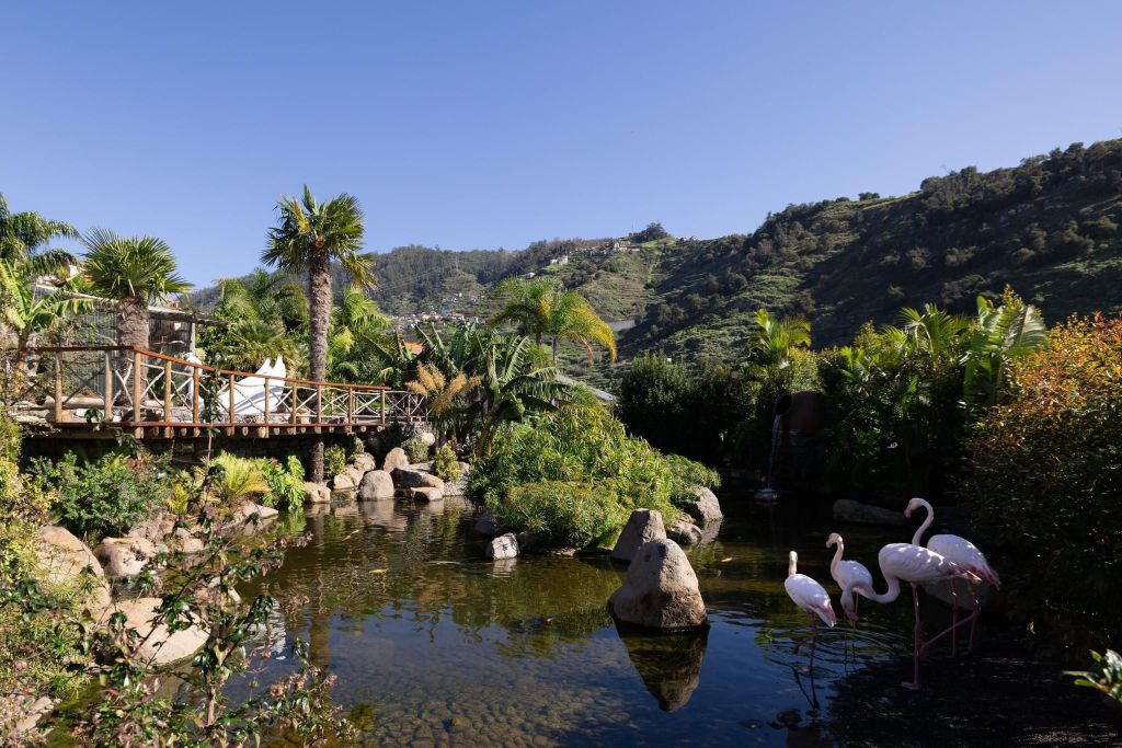 Besuch der Vogelinsel Madeira