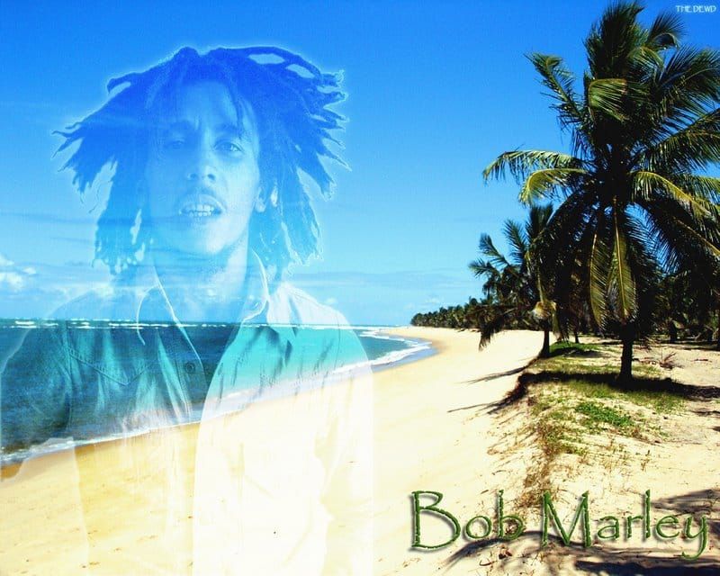 Montego Bay: Bob Marley Tour nach 9 Mile, St. Ann