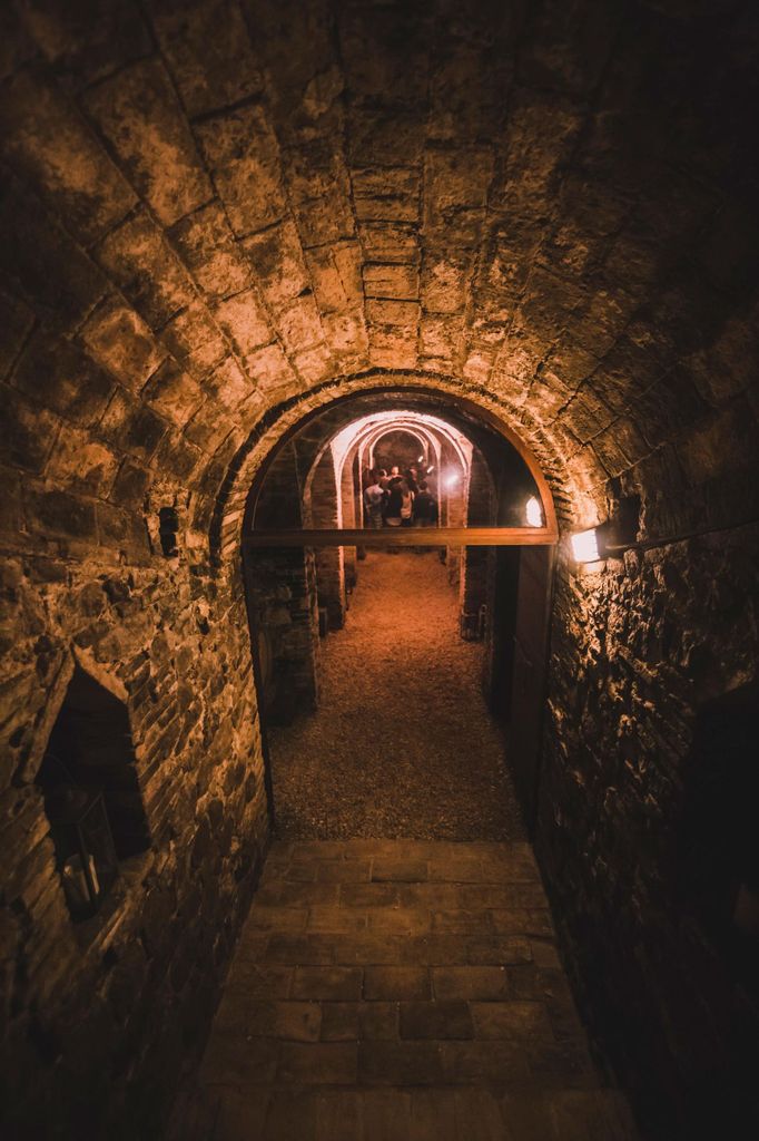 Ancona: Weingut-Tour, Trüffel-Dinner & Weinprobe