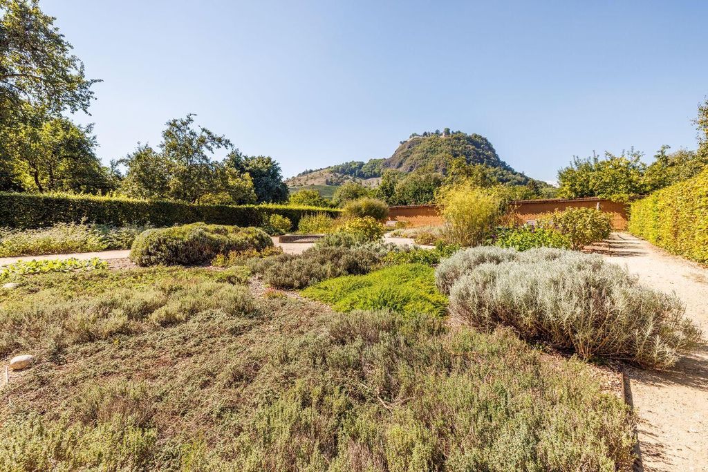 Singen: Geführte Kräuterführung "Wildkräuter am Aachufer"