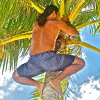 Kokosnussernte auf Bora Bora