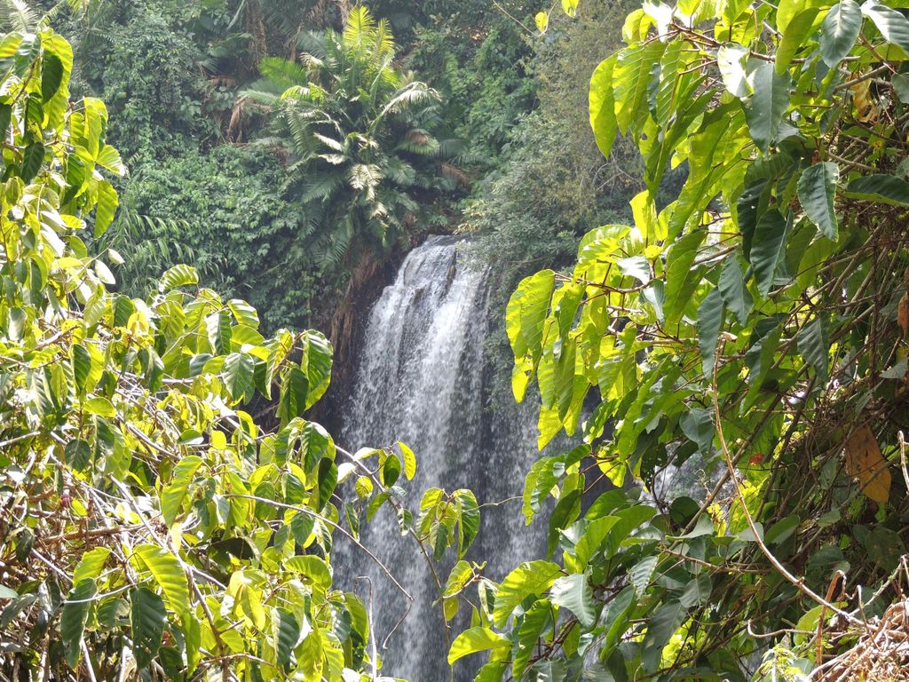 Siem Reap: Tour zum Phnom Kulen Wasserfall