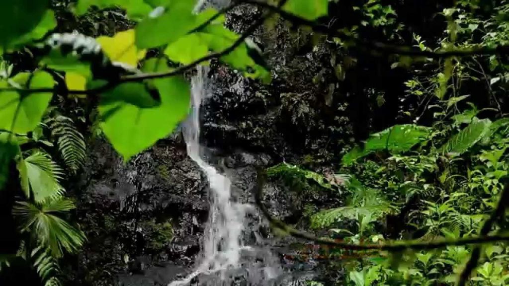 San Ramon: Puente del Valle Encantado