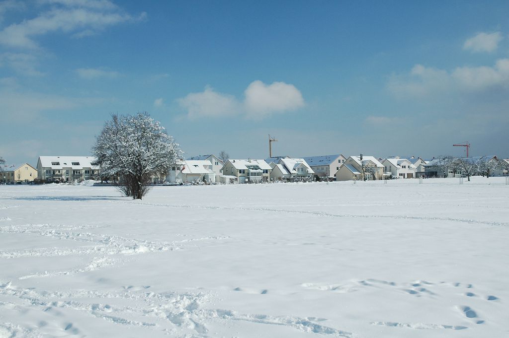Winter am Weilerhau
