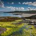 Dog's Bay Beach in Connemara