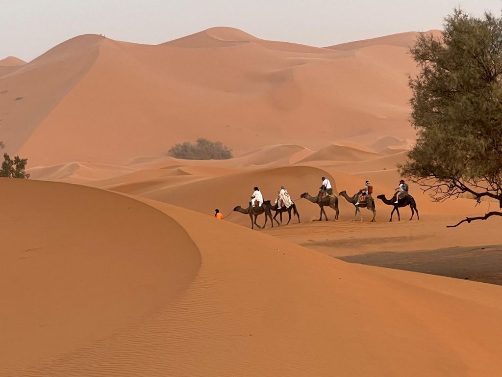 7-tägiges privates Wüstenabenteuer von Casablanca nach Marrakesch