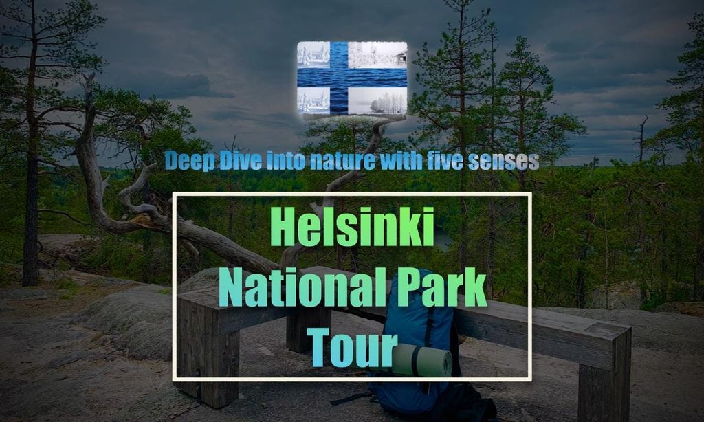 Erwecken der fünf Sinne in der finnischen Natur (+traditionelle Sauna)