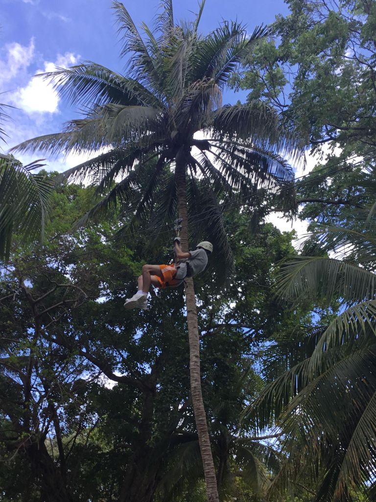 Falmouth: Dunn's River Falls, Blue Hole, und Zipline Tour