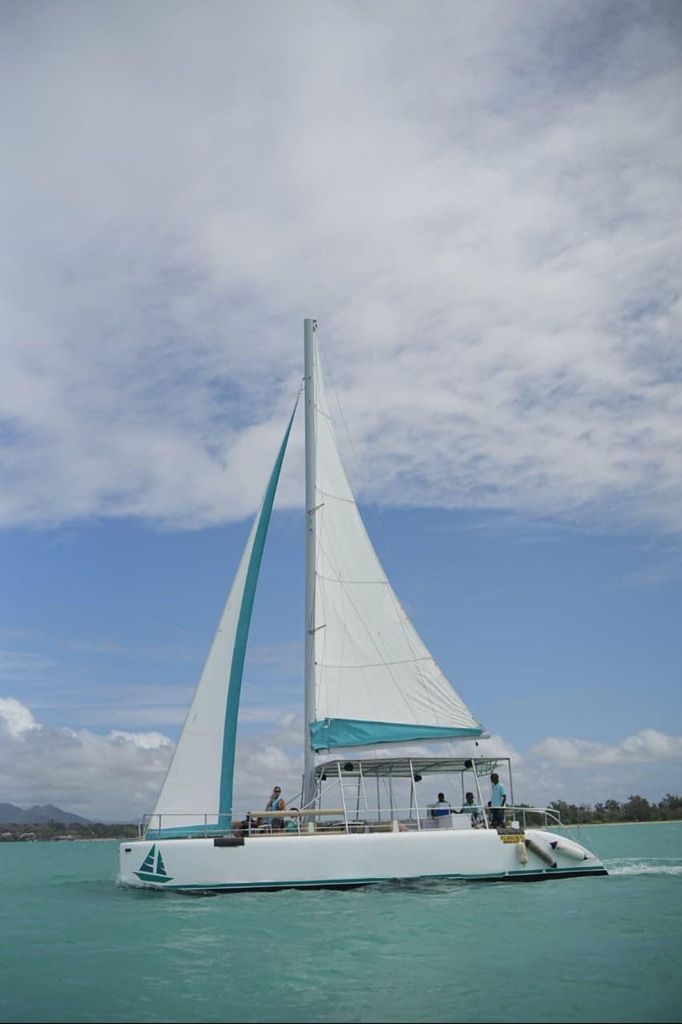 Katamaranfahrt zur Île aux Cerfs & GRSE-Wasserfall